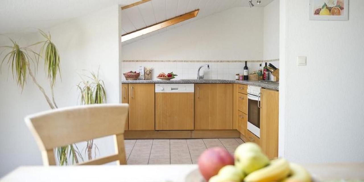 Demeterhof Duenninger Apartment Hofheim in Unterfranken Екстериор снимка